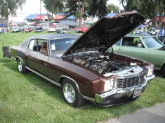 Roy's 1972 Custom Monte