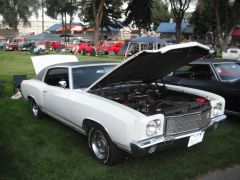 Rodney's 1970 Monte