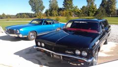 Monte And Impala