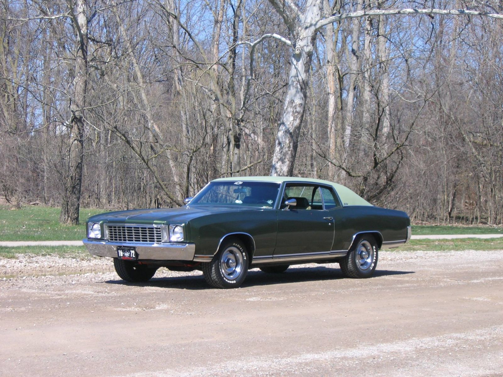 Mikes 72 Monte