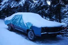 My monte in the snow
