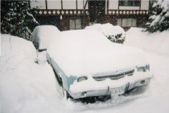 Winter 1996