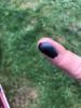 post-24155-0-42270500-1531786186_thumb.jpeg