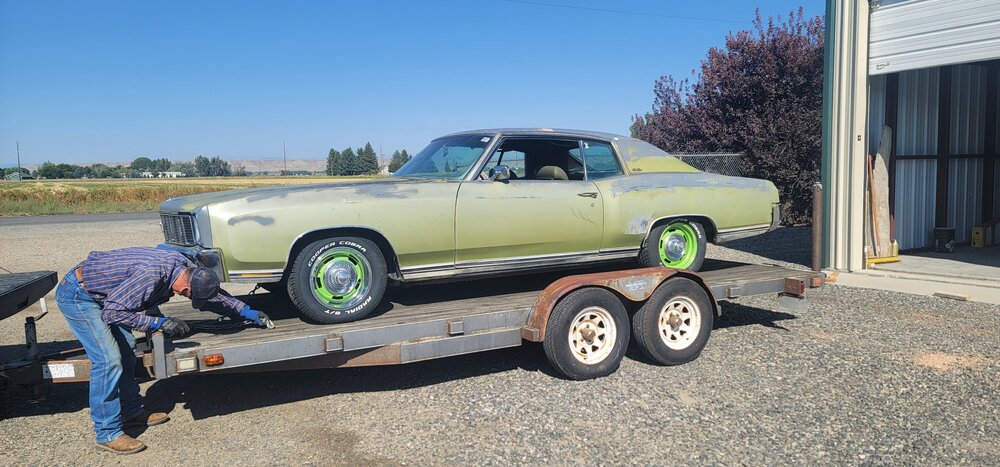 71 Pickle LF.jpg