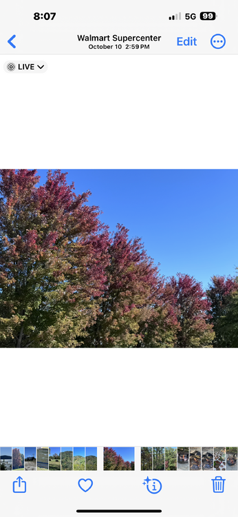 IMG_3871.thumb.png.b494d26865ec0cf10f704518e3b67f16.png