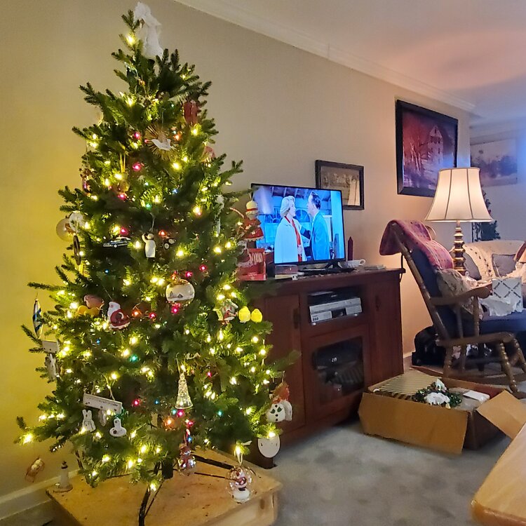 20241217_143941.thumb.jpg.0a938df45cd60c0e209331f867e36c6f.jpg