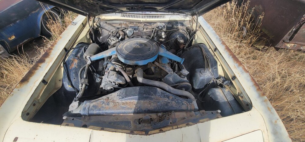 Engine Bay.jpg
