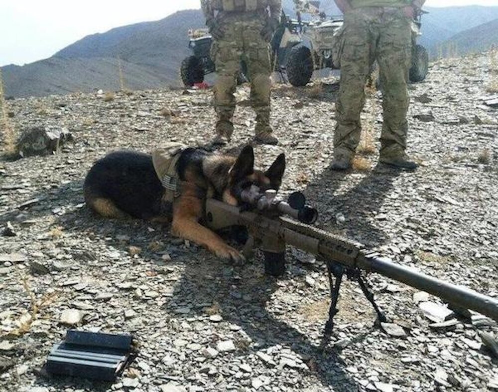 security.JPG